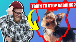 How To Stop Your YORKSHIRE TERRIER Barking [upl. by Enirhtak]