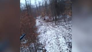 375 Winchester deer hunt [upl. by Arand]