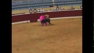 Bullfighting in Spain [upl. by Ahsekram]