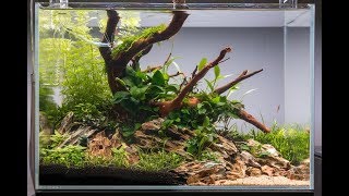 NonCO2 Aquascape Tutorial  How to Set Up an Easy Low Energy Aquascape [upl. by Malinda4]