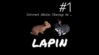 Comment commencer lélevage de lapin 1 [upl. by Brink]