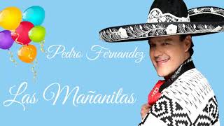 🎉 PEDRO FERNANDEZ 🎁 LAS MAÑANITAS PARA CUMPLIAÑERITOS [upl. by Ecraep]