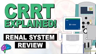 Renal System Review  CRRT Explained [upl. by Ecirpac]