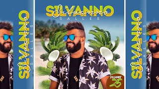 SILVANNO SALLES VOL 25  2020 CD Completo [upl. by Onaimad]