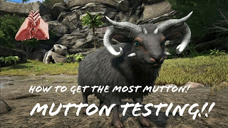 HOW TO FARM MUTTON  OVIS  BEST WAY TO GET MUTTON  ARK SURVIVAL EVOLVED  XBOX ONE PS4 PC ARK [upl. by Anekam]