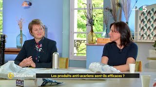 Les produits anti acariens sont ils efficaces   La Quotidienne [upl. by Sualocin]