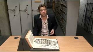 Treasures of the Bodleian Robert Hookes Micrographia [upl. by Flight]