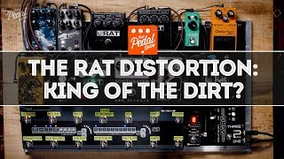 The ProCo RAT Distortion amp RATAlikes King Of The Dirt Pedals That Pedal Show [upl. by Shirline]