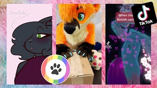 Furry TikToks Compilation 5 [upl. by Enail920]