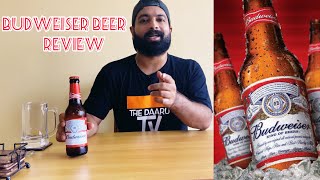 Budweiser Lager Beer Review l Thirsty Thursday budweiser [upl. by Hartmunn638]