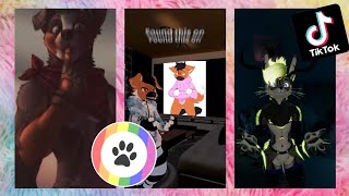 Furry TikToks Compilation 4 [upl. by Allwein]