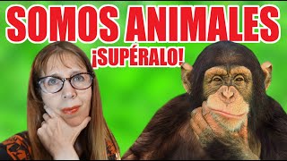 Los humanos somos animales ¡Supéralo [upl. by Lupiv486]