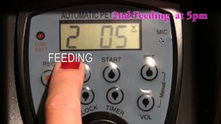 How to Program the CE Compass Large Automatic Pet Feeder [upl. by Alyel]