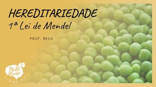 HEREDITARIEDADE  1ª LEI DE MENDEL [upl. by Osgood]