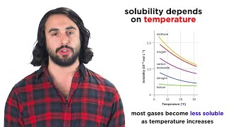 Temperature and Gas Solubility [upl. by Brockie460]