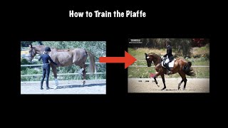 How to Train the Piaffe [upl. by Artinek]