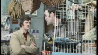 Monty Python The Parrot Sketch amp The Lumberjack Song movie versions HQ [upl. by Roeser]