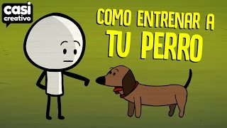 Cómo entrenar a tu perro  Casi Creativo [upl. by Iphagenia]