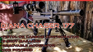 Diana Chaser Review • CO2 Pellet Gun • Perfect Close Range Pest Gun [upl. by Llennahs]