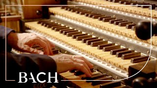 Bach  Concerto in D minor BWV 596  Van Doeselaar  Netherlands Bach Society [upl. by Ataner]