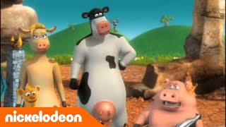 La Ferme en folie  La cérémonie Porc  Nickelodeon France [upl. by Ravi]