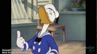 The History of Donald Duck [upl. by Petronella]