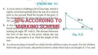 Exercise 91 class 10 maths [upl. by Aynnek529]