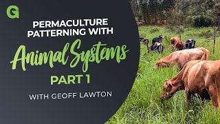 Permaculture Patterning with Animal Systems  Part 1 [upl. by Shetrit]