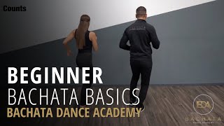 Bachata Beginner Basic Steps Tutorial  Demetrio amp Nicole  Bachata Dance Academy [upl. by Doownil]