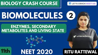 Biomolecules  Enzymes Secondary Metabolites and Living State  Part 2  NEET 2020 [upl. by Eiknarf]