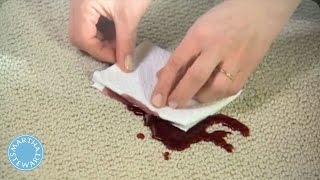 How to Remove Any Carpet Stain  Martha Stewart [upl. by Dieter332]