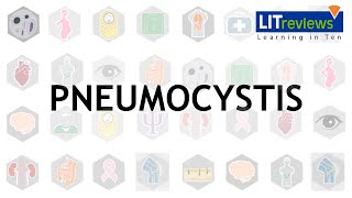 Pneumocystis [upl. by Pedro]