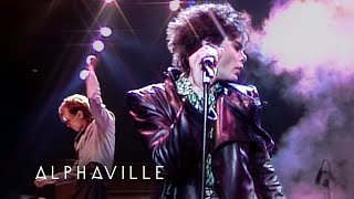 Alphaville Big in Japan Live Versions [upl. by Ellehsyt68]