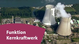 Wie funktioniert ein Kernkraftwerk  Frage trifft Antwort  planet schule [upl. by Sadnac236]