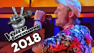 Die Fantastischen Vier  Tag am Meer Dominik Hartz  The Voice of Germany  Blind Audition [upl. by Crompton]